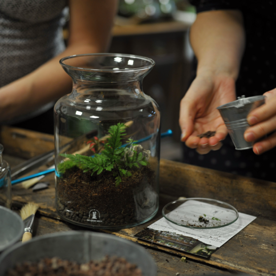 Workshop: Moje první mechárium